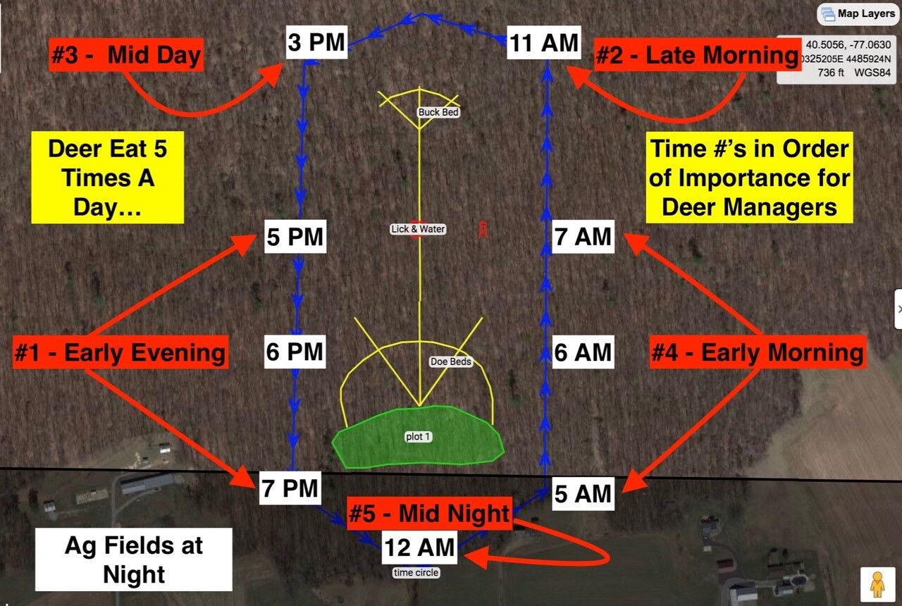 deer mapping 4